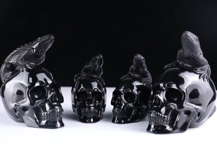 Featured Skulls
