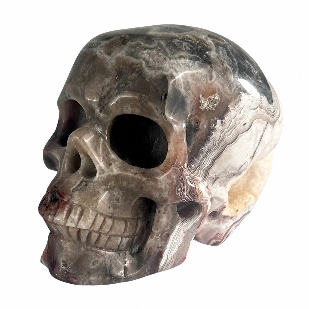 4.5 Inch Red Crazy Lace Agate Crystal Skull left front view