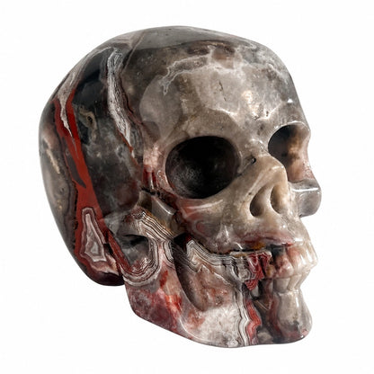 4.5 Inch Red Crazy Lace Agate Crystal Skull three-quarter view facing right