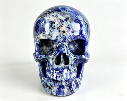 3.0" Sodalite Crystal Skull
