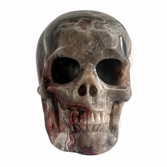 4.5 Inch Red Crazy Lace Agate Crystal Skull front view